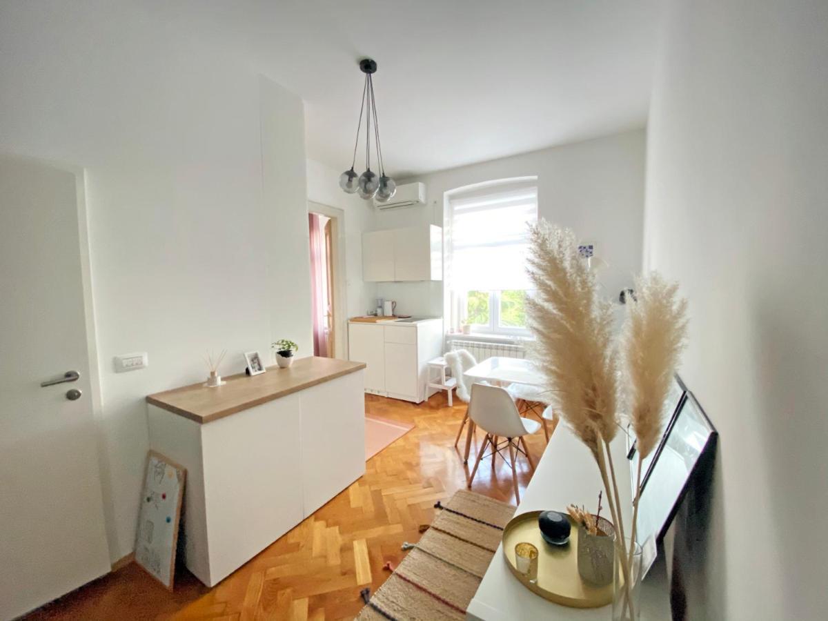 Bright Apartment 45M2 - Free Parking - Wifi リエカ エクステリア 写真