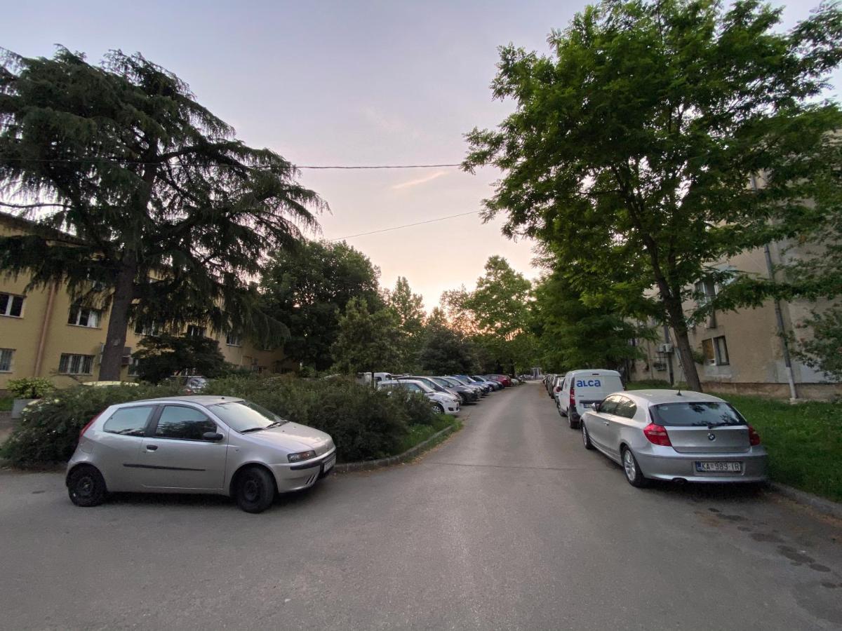 Bright Apartment 45M2 - Free Parking - Wifi リエカ エクステリア 写真